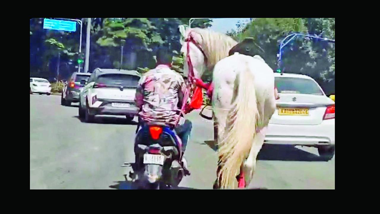 વાઇરલ વિડિયોમાંથી સ્કીનશૉટ